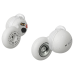 WF-L900(1)