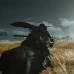 Ghost of Tsushima/Призрак Цусимы Director's Cut PS4